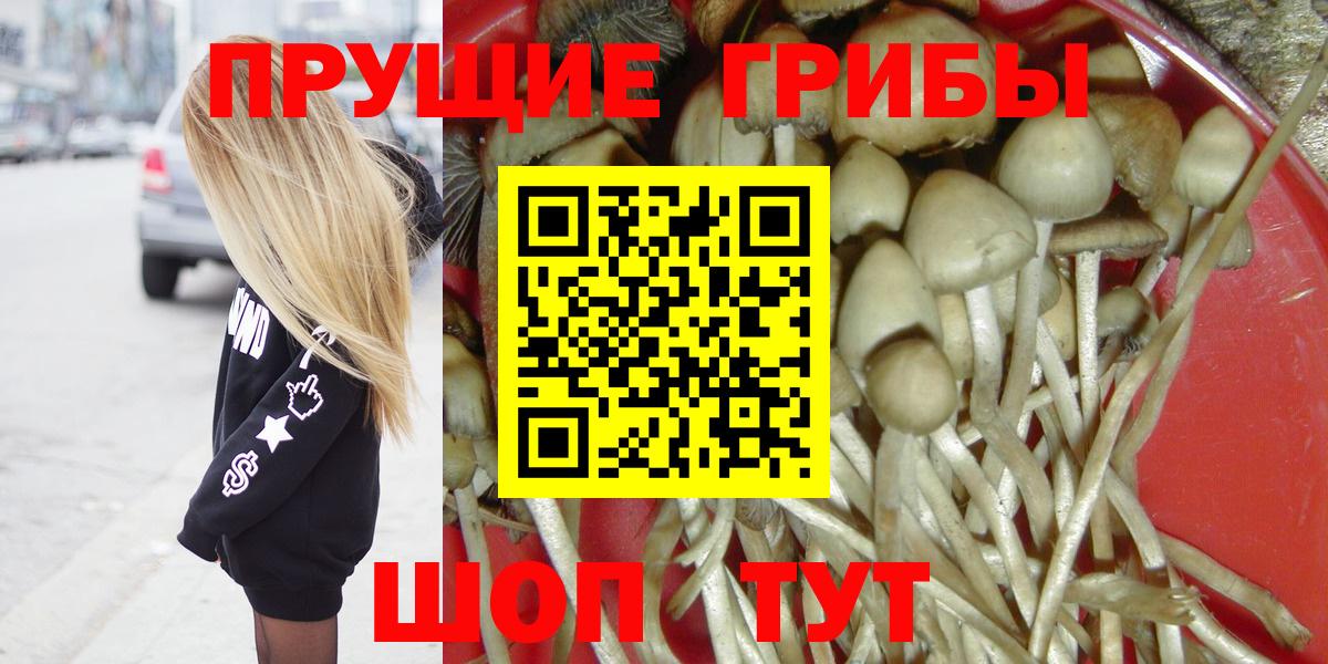 Галлюциногенные грибы мухоморы  Вход с VPN  Амурск 