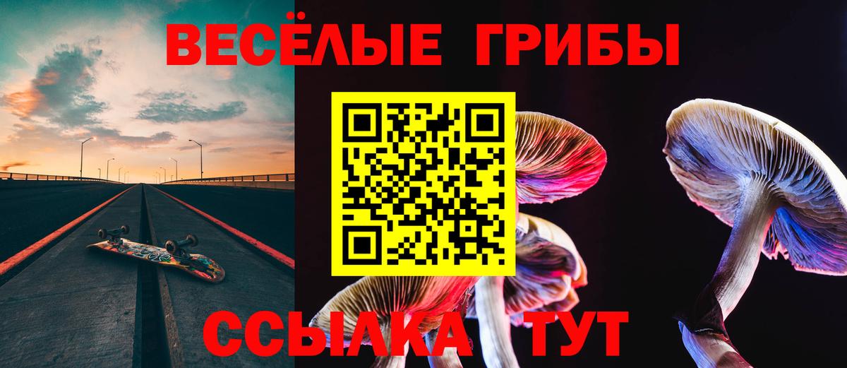 Галлюциногенные грибы прущие грибы Амурск